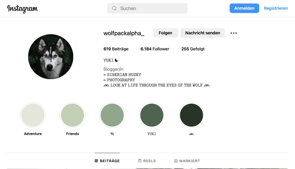 Social Media Betreuung